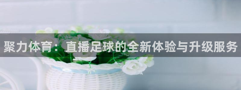 山猫体育免费直播发展联盟：聚力体育：直播足球的全新体验与升级服务