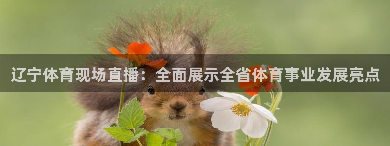 山猫足球免费直播高清视频大全：辽宁体育现场直播：全面展示全省体育事业发展亮点