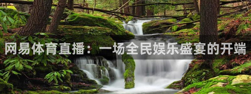 山猫体育直播在线观看免费：网易体育直播：一场全民娱乐盛宴的开端